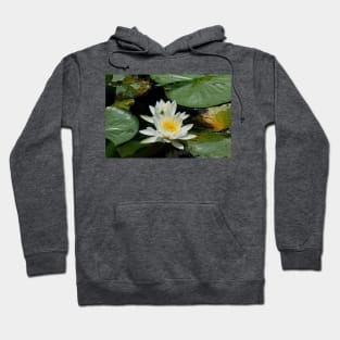 Water Lily Hoodie